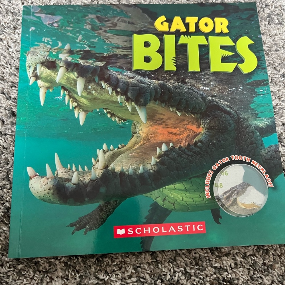 Boys books